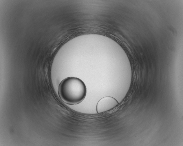 X0000111140520200906301019
