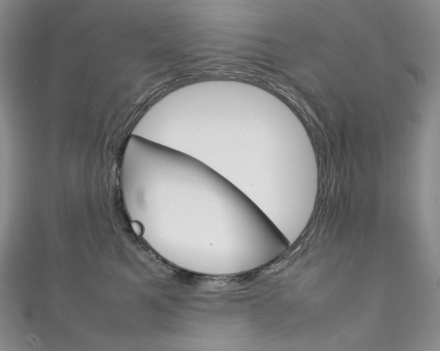 X0000111140521200906301019