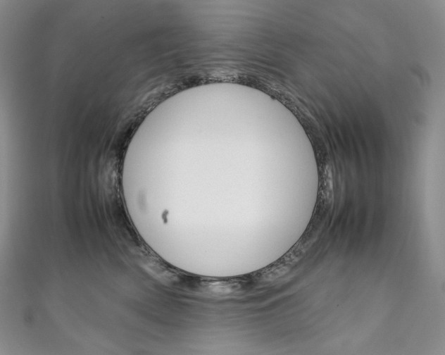 X0000111140522200906301019