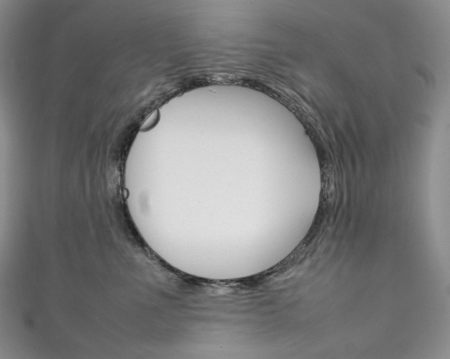 X0000111140523200906301019
