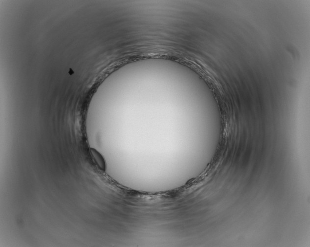 X0000111140524200906301019