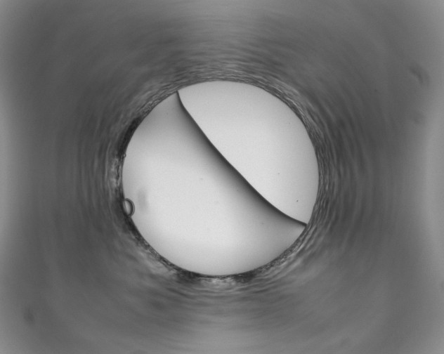 X0000111140525200906301019