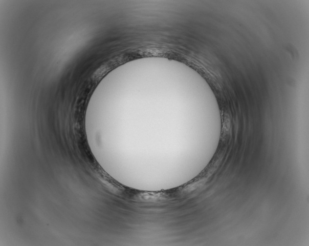 X0000111140526200906301019