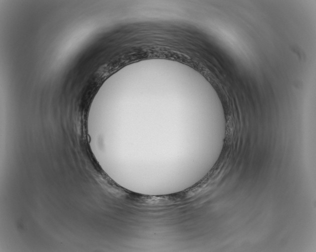 X0000111140527200906301019