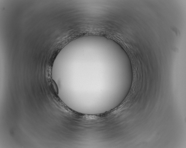 X0000111140528200906301019