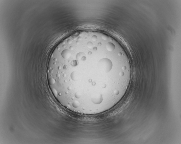 X0000111140529200906301019