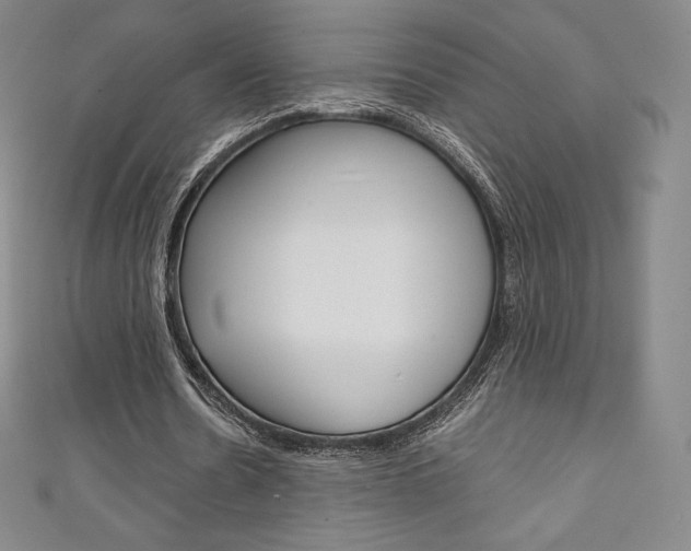 X0000111140530200906301019