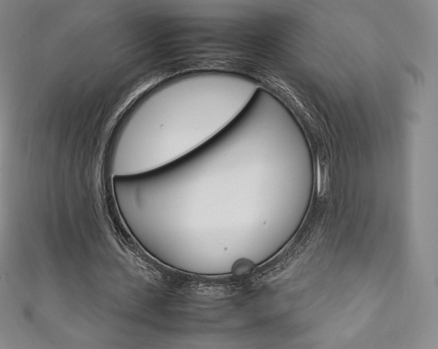 X0000111140531200906301019