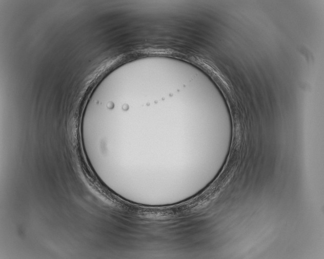 X0000111140533200906301019