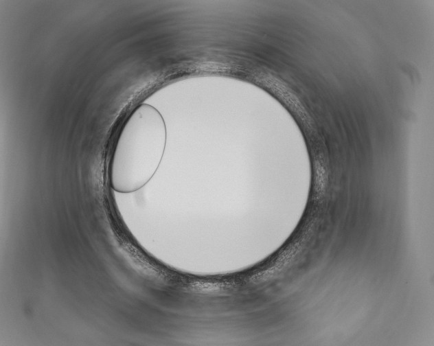 X0000111140534200906301019