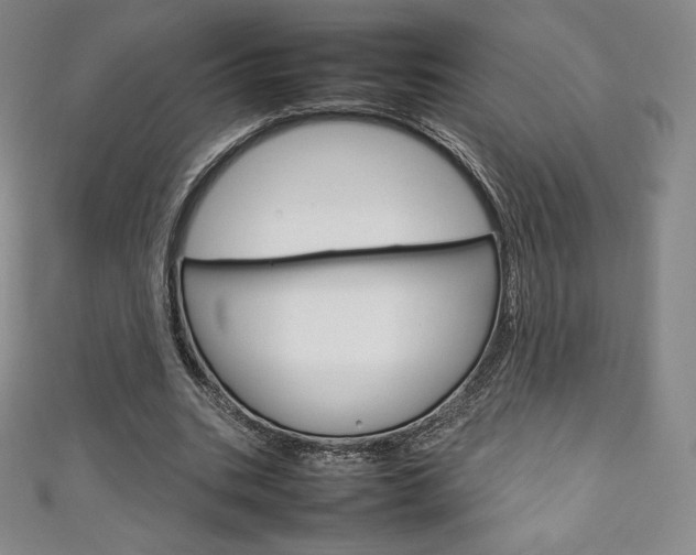 X0000111140535200906301019
