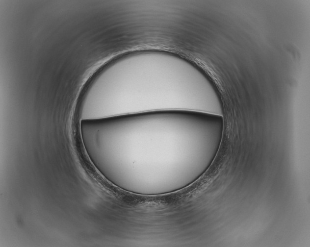 X0000111140536200906301019