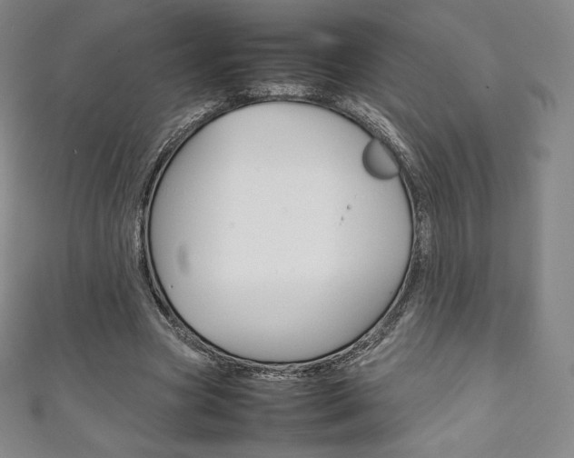 X0000111140537200906301019