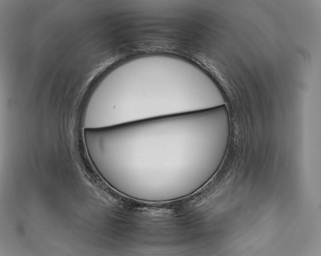 X0000111140539200906301019