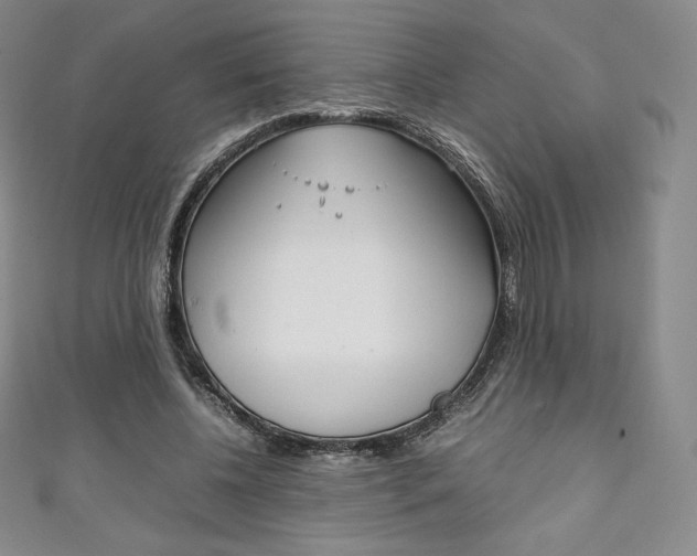 X0000111140540200906301019