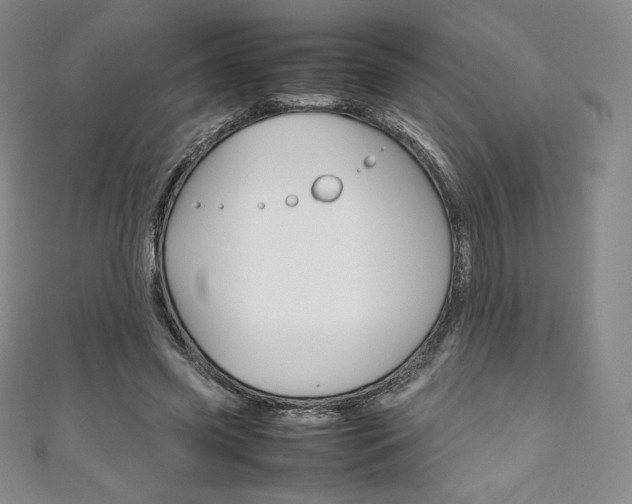 X0000111140541200906301019