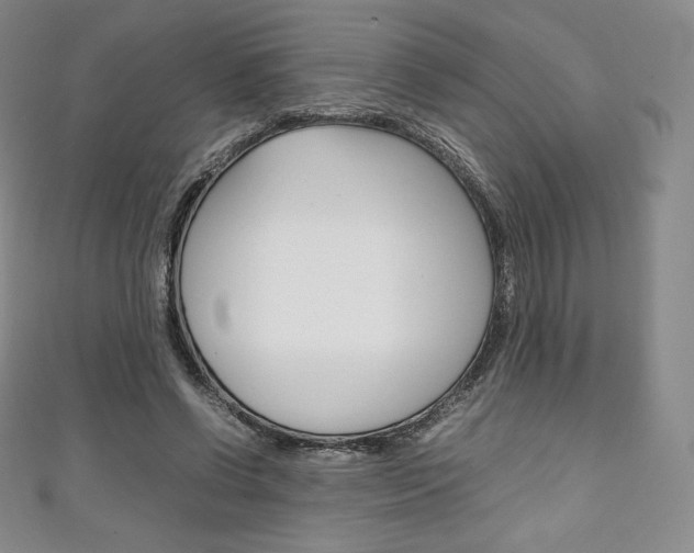 X0000111140542200906301019