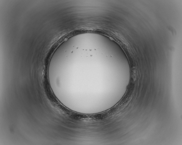 X0000111140544200906301019