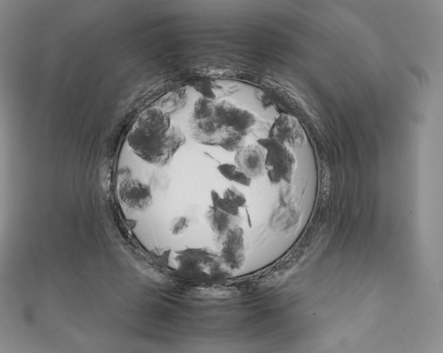 X0000111140545200906301019