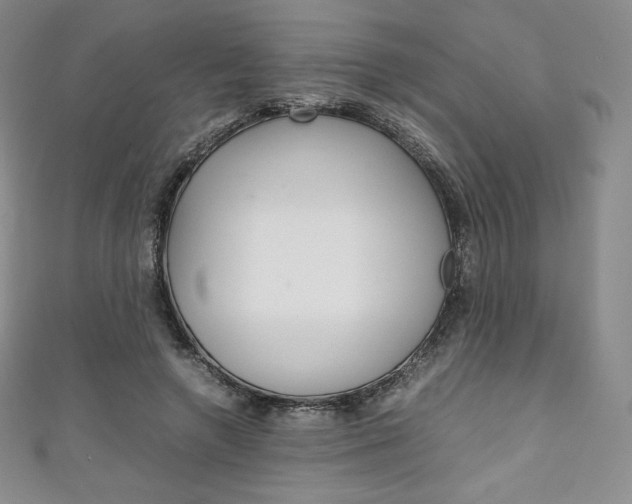 X0000111140546200906301019