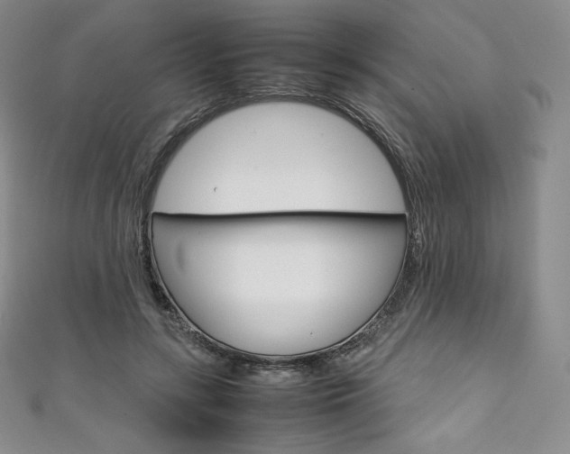 X0000111140547200906301019