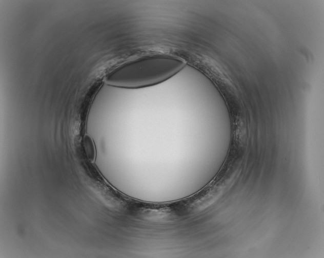 X0000111140548200906301019