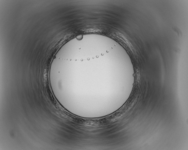 X0000111140549200906301019