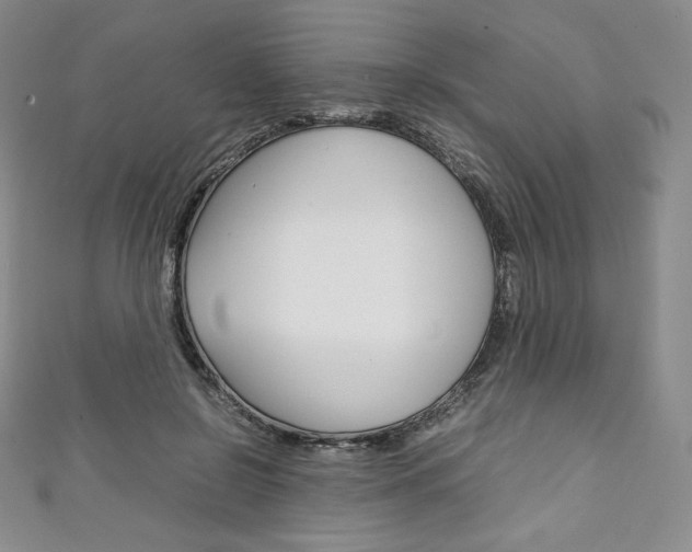 X0000111140550200906301019