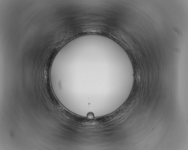 X0000111140551200906301019