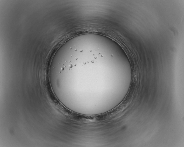 X0000111140552200906301019