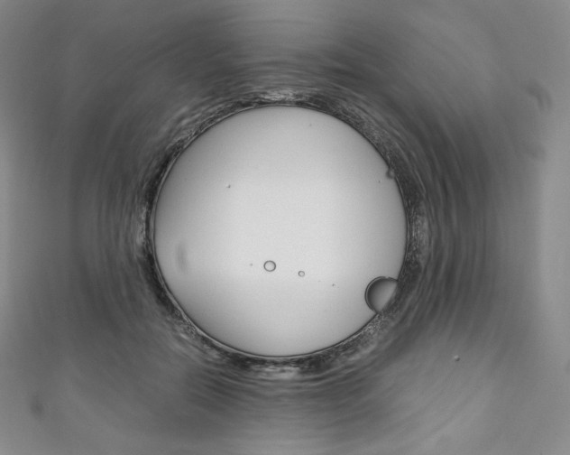 X0000111140554200906301019