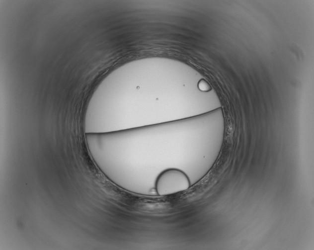 X0000111140555200906301019