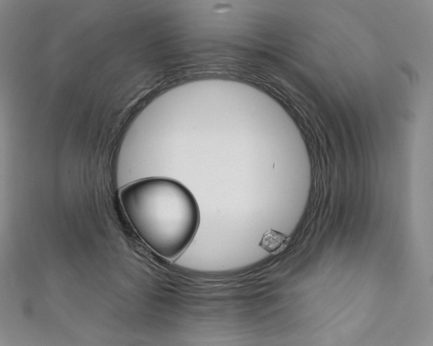 X0000111140556200906301019