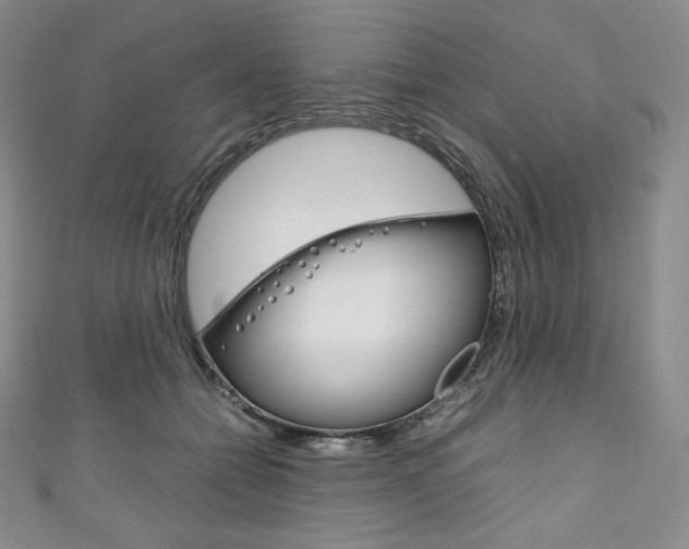 X0000111140558200906301019