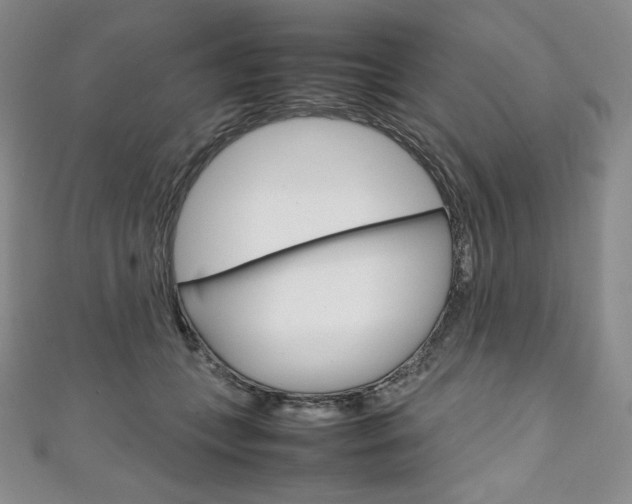 X0000111140559200906301019