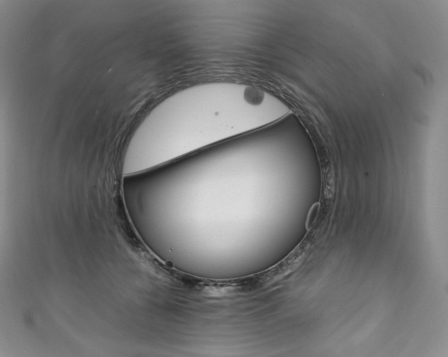 X0000111140560200906301019