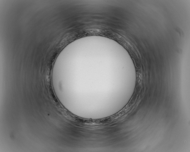 X0000111140561200906301019