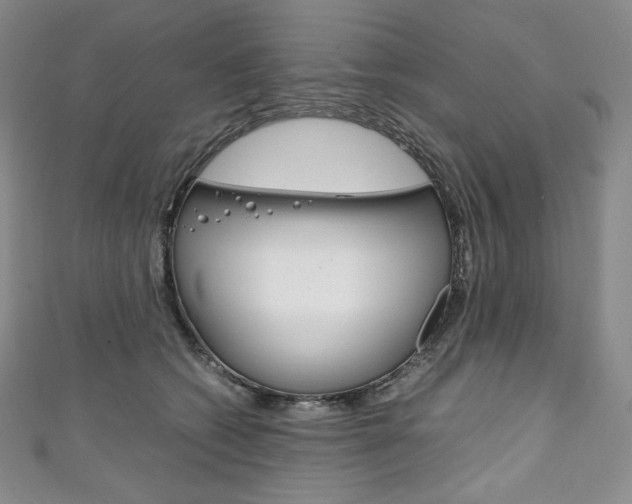 X0000111140562200906301019