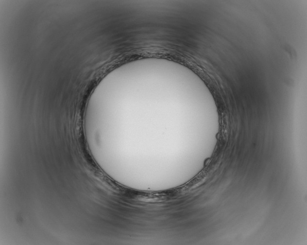 X0000111140563200906301019