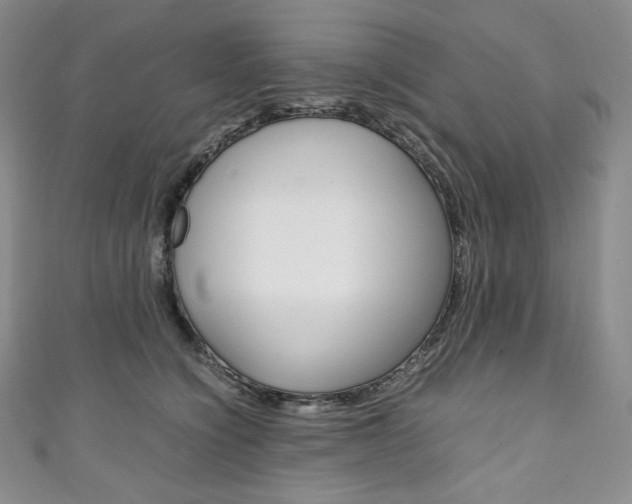X0000111140564200906301019