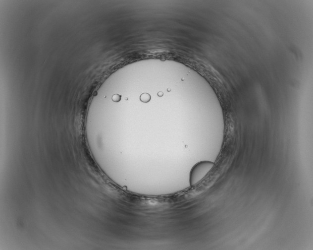X0000111140565200906301019