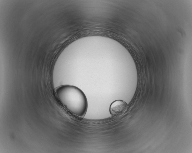 X0000111140566200906301019