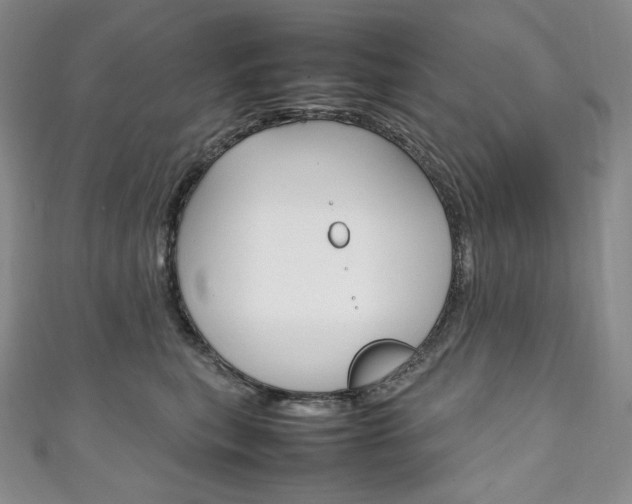 X0000111140567200906301019