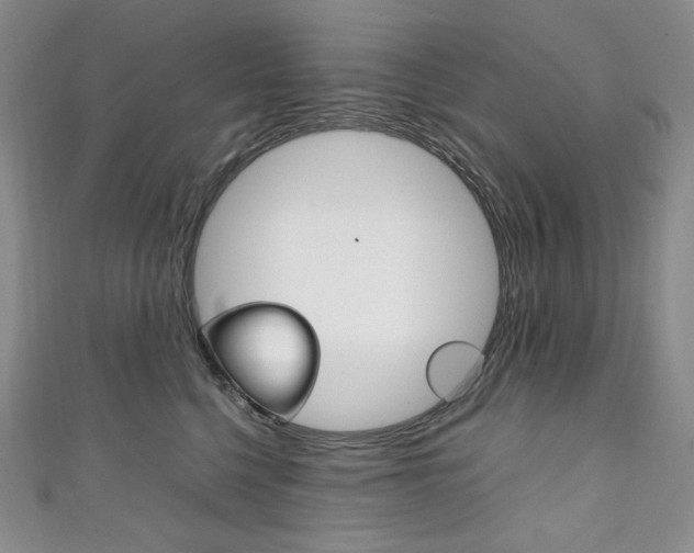 X0000111140568200906301019