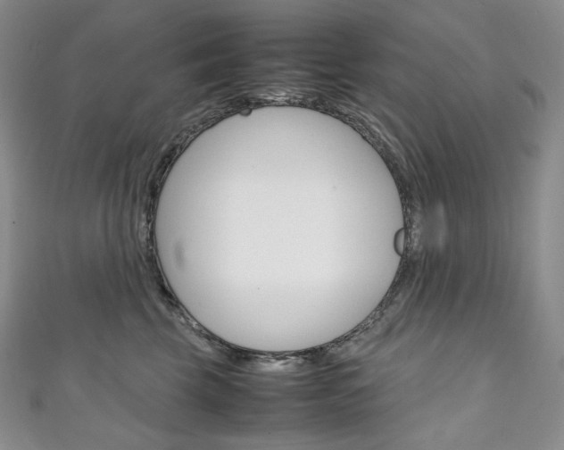 X0000111140569200906301019