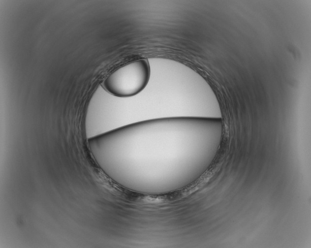 X0000111140570200906301019