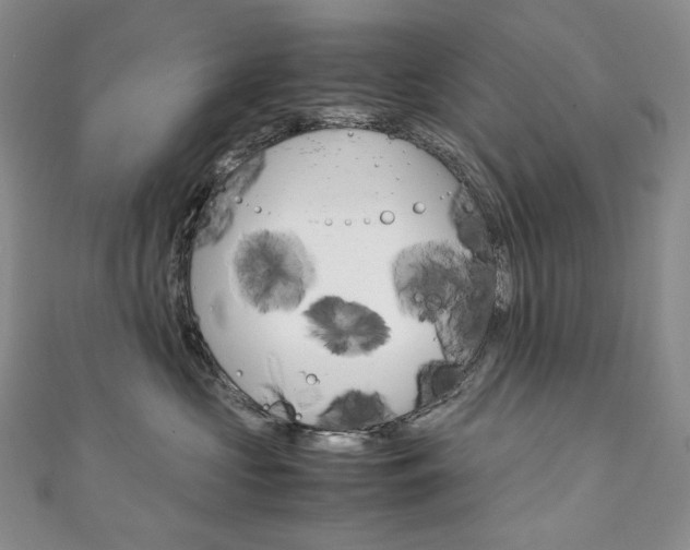 X0000111140573200906301019