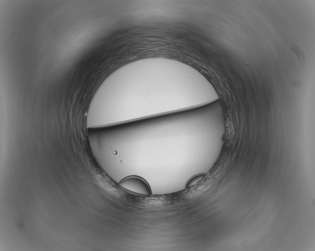 X0000111140574200906301019