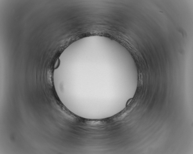 X0000111140575200906301019