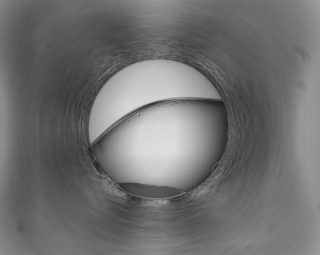 X0000111140576200906301019